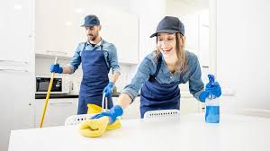 Domestic cleaning — kitchen and living areas